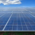 Waaree Renewables Share Price | Live Stock Updates & Analysis