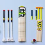 How Many Creases Are There in Cricket? Types and Their Roles Explained